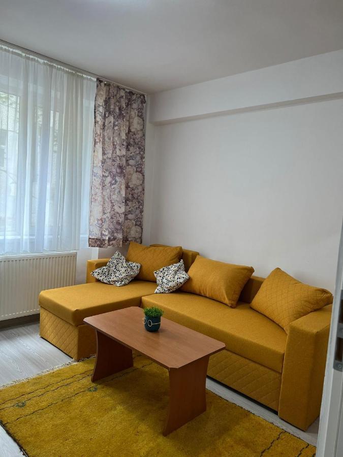 Apartament Ultracentral Тимишоара Экстерьер фото